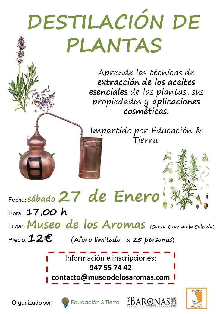 DESTILACIÓN DE PLANTAS EN EL MUSEO DE LOS AROMAS